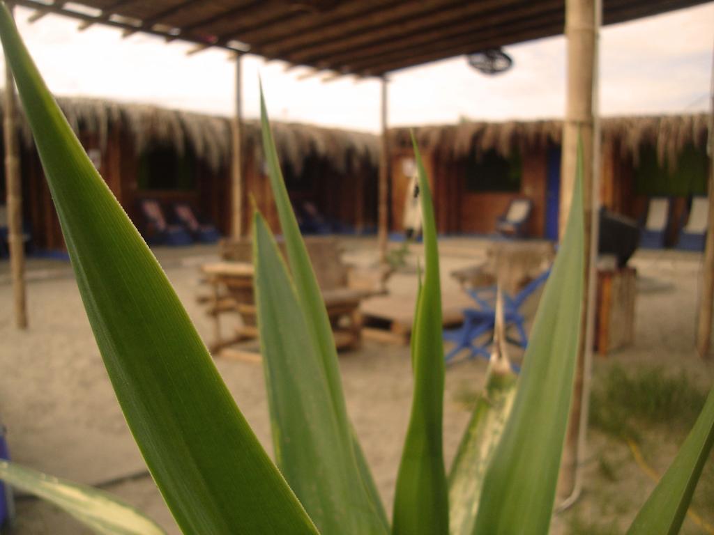 Hostel Psygon Surf Camp Máncora Exteriér fotografie